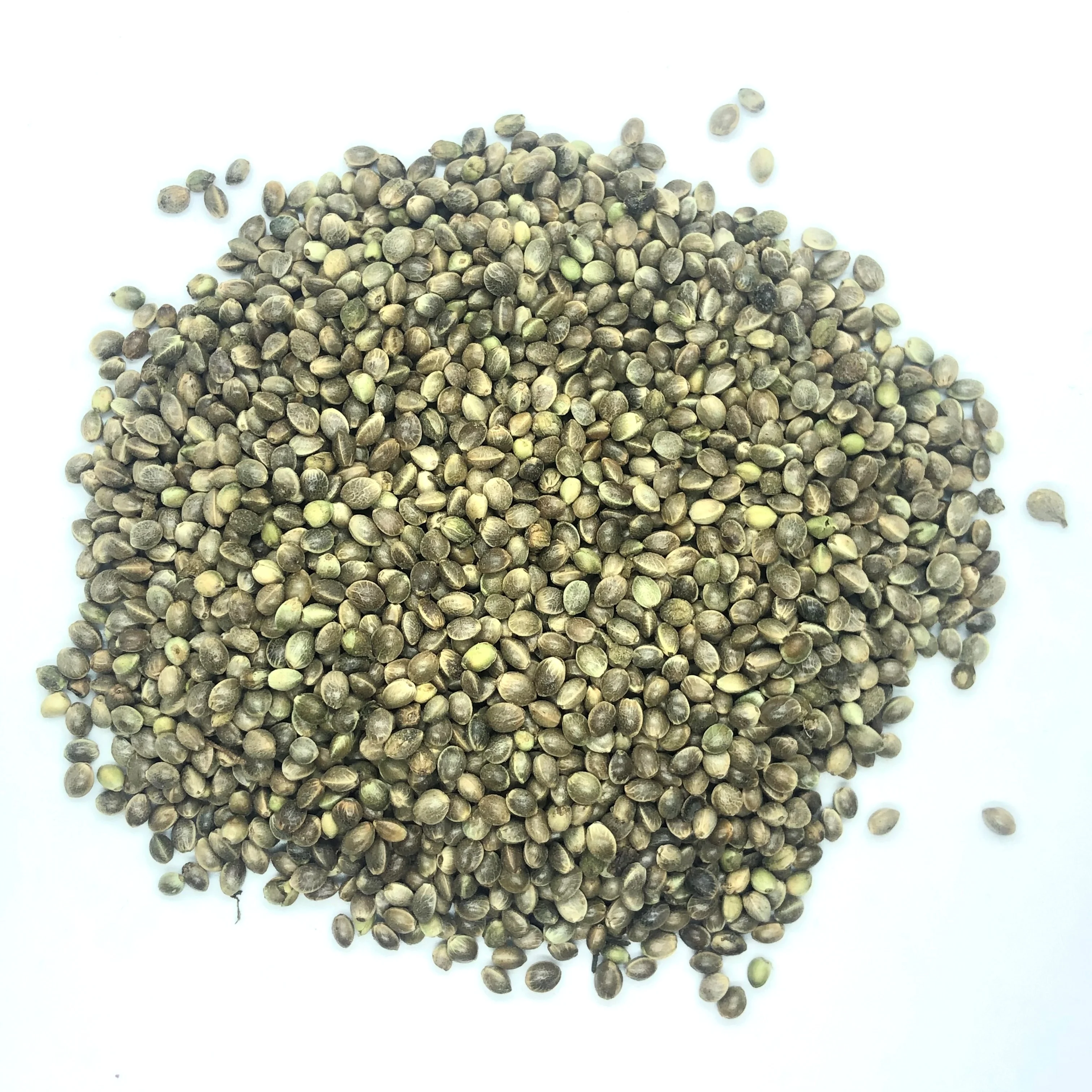 
Industrial Hemp Seeds for Planting 