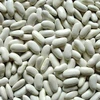 Dried Red Square Kidney Beans for Sale