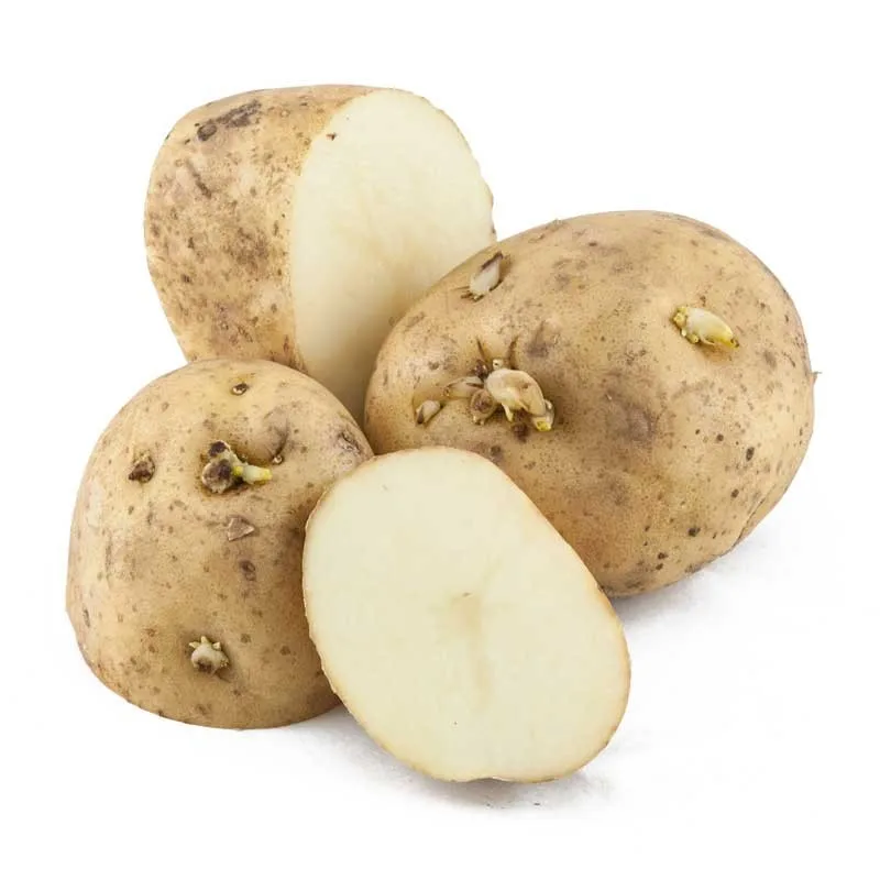 POTATO WHITE -3.jpg