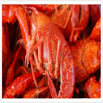 quality fresh frozen crayfish for sale