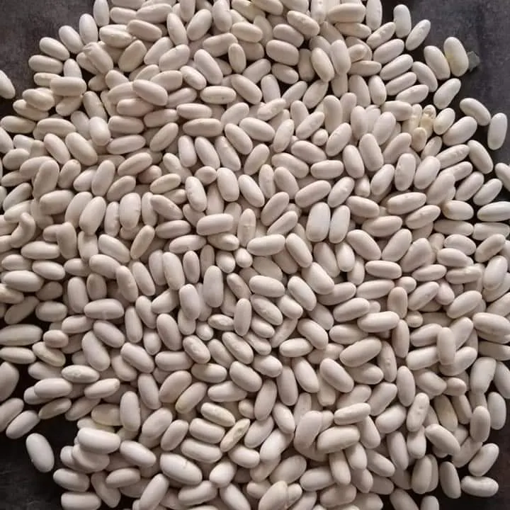 
White Beans -BEST QUALITY, BEST PRICES (SPICES LAND FOR EXPORT) 