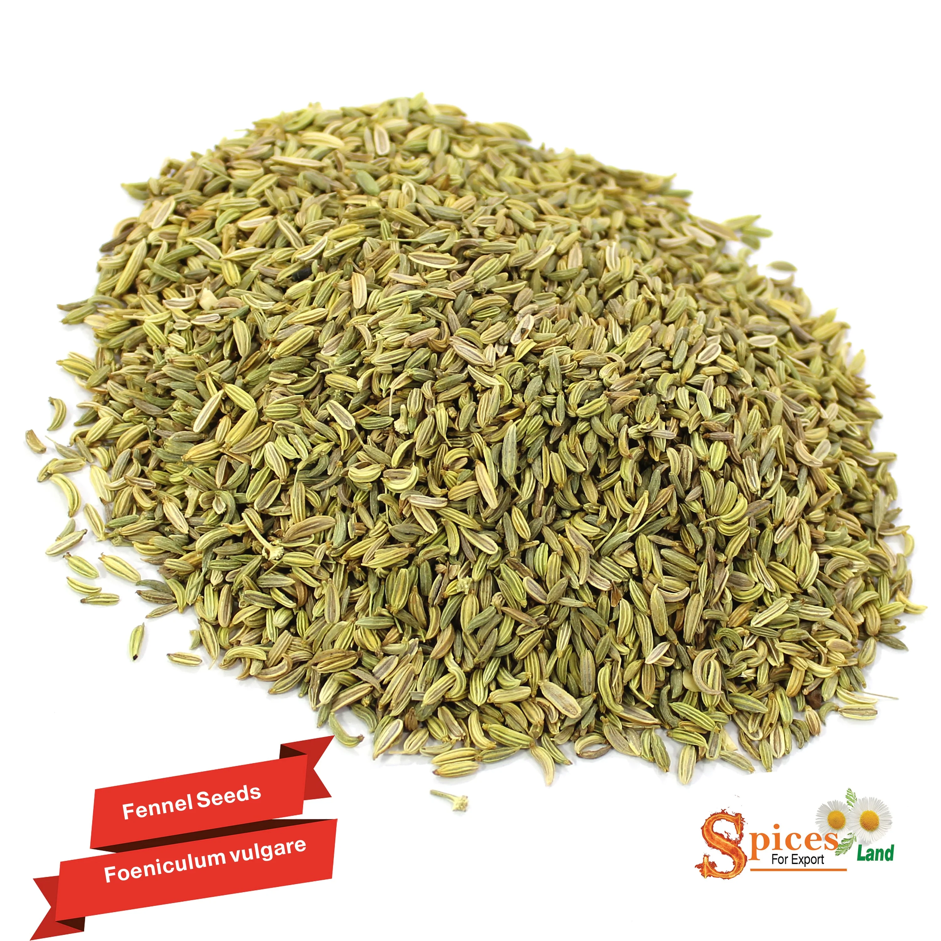 
wholesale fennel seeds - BEST QUALITY, BEST PRICES (SPICES LAND FOR EXPORT) 