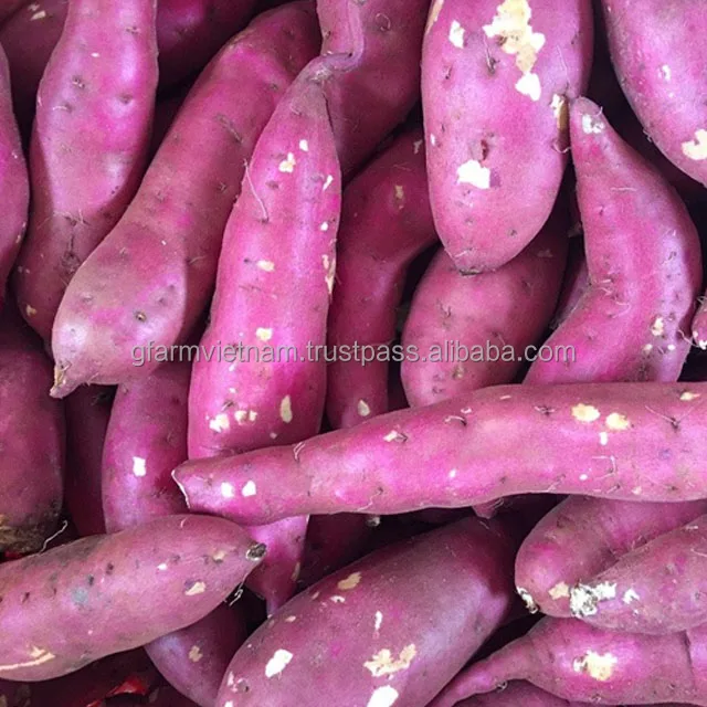
Season 2019 for sale sweet potato Japanese best price 