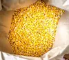 High Purity Natural Bulk Pure Yellow Fresh Vegetable FD Corn