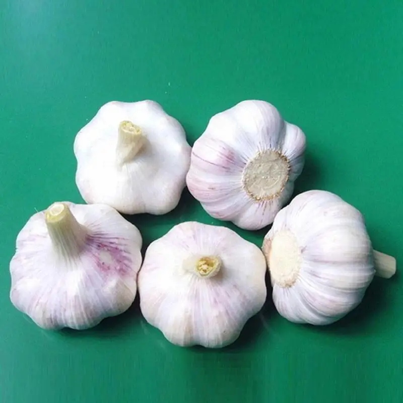 2 (10).jpg