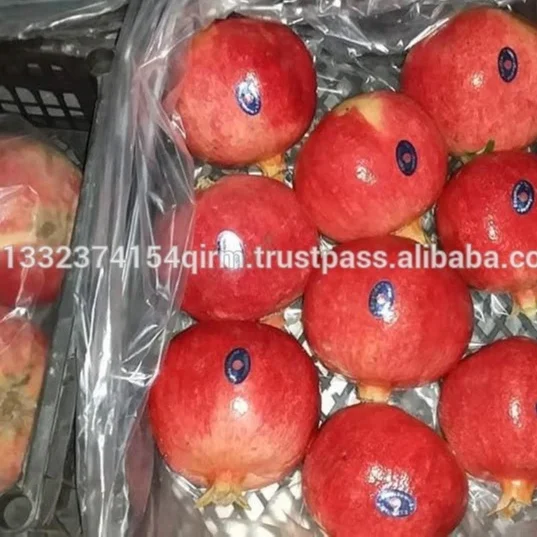
Cheap Egyptian Pomegranate 