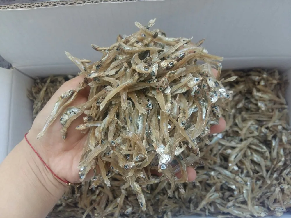 Special Product From Viet Nam/ Dried Anchovy Fish In Bulk Low Price/ms
