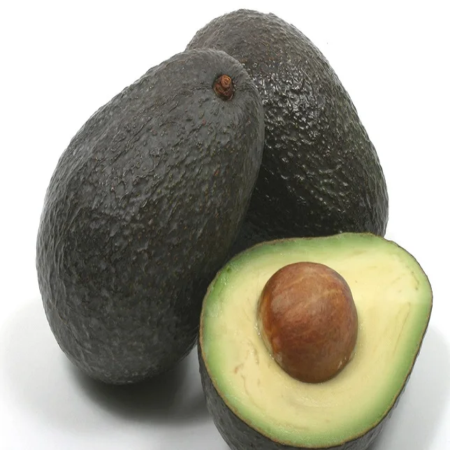 
AVOCADO FRESH / AVOCADO POWDER / PALTA HASS FROM PERU LOW PRICE 