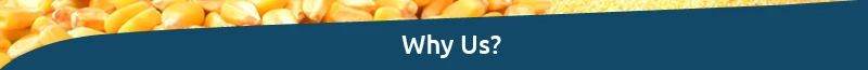 Why-Us.jpg