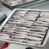 HOT PRODUCT ....FROZEN CUT POULP SQUID ALL SIZE