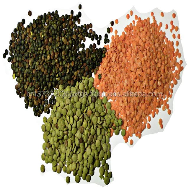 1200px-3_types_of_lentil.png