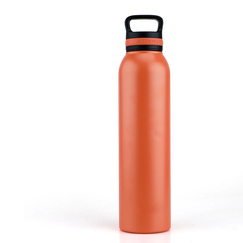 

2020 popular design stainless steel sports water bottle with portable handle cup, Customized color acceptable