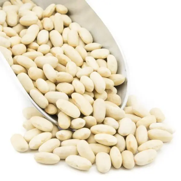
High Quality Dried Lima Beans 