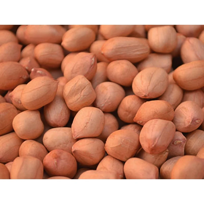 
Roaster Blanch Peanuts 