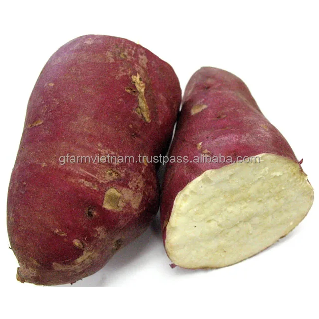 
Top quality sweet potato competitive price for buyers 