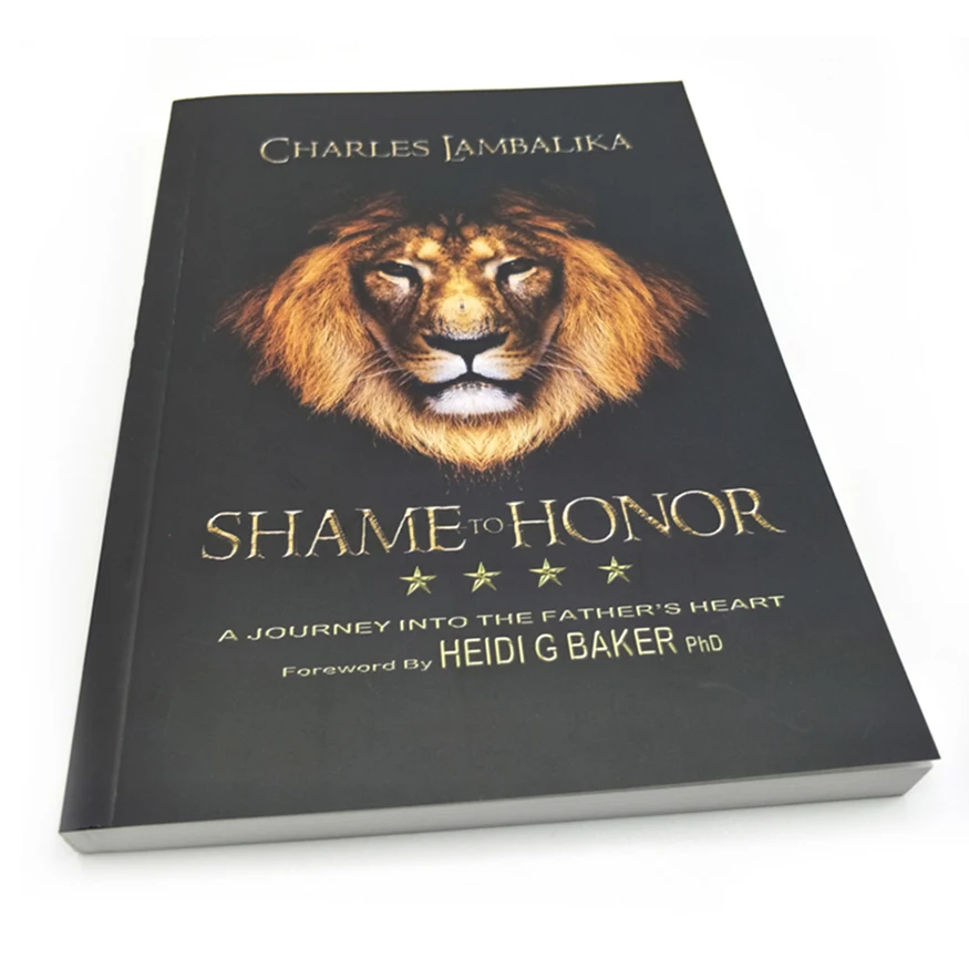 

Custom Softcover Book Printing Novel Book With Perfect Binding Offset Printing