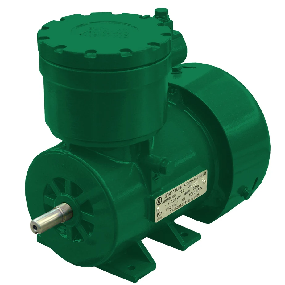 Industrial Explosion Proof Asynchronous Electric Motors Aiml With Rotation Axis Height Of 63