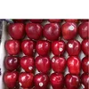 First class Quality Fresh Gala Apples available for sale...