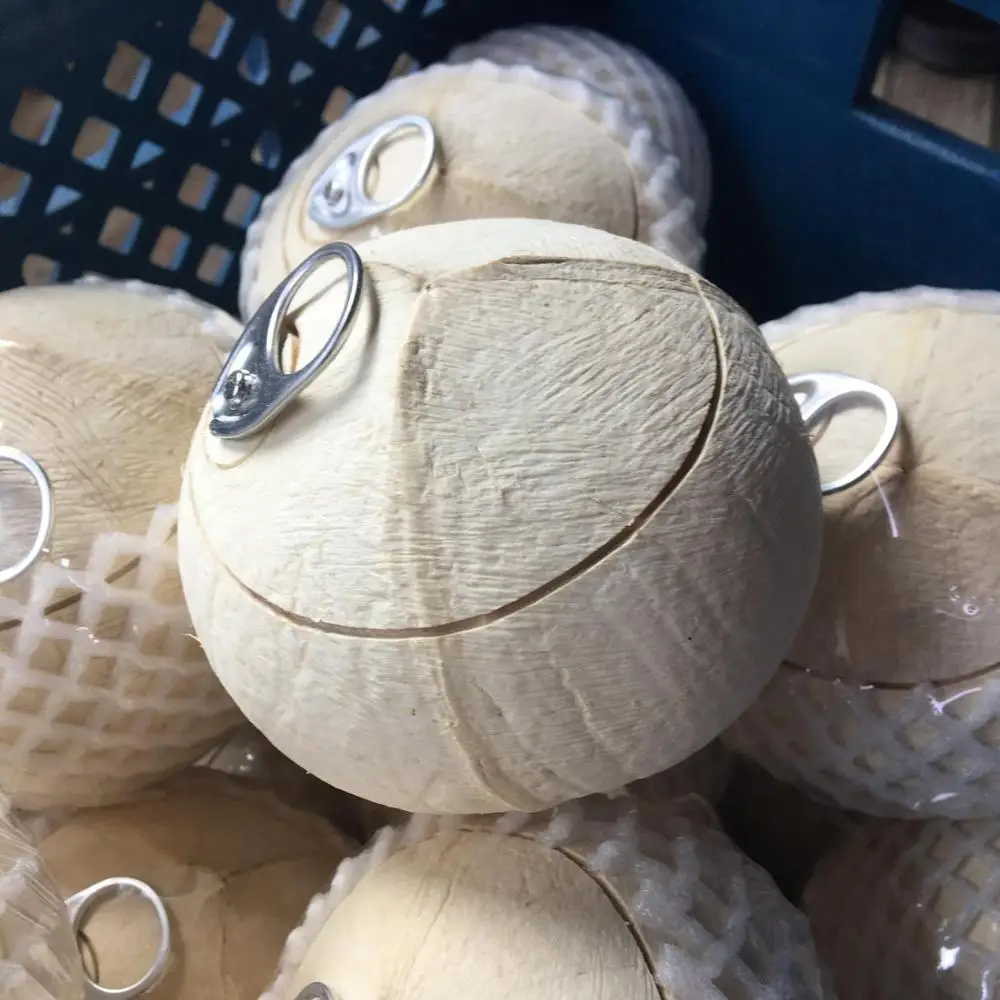 
Fresh Young Coconuts 100% natural Organic High Quality Grade From Thailand 