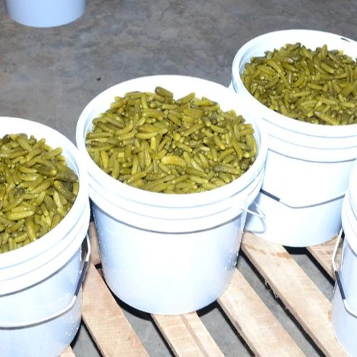 
cornichons Pickled cucumbers gherkins 