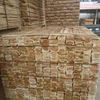ACACIA TIMBER FOR PALLET MAKING WITH BEST PRICE - Sigrid (84 -949129022)