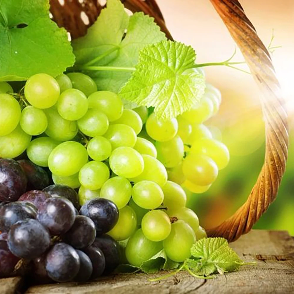 ukraine mature red globe fresh grapes