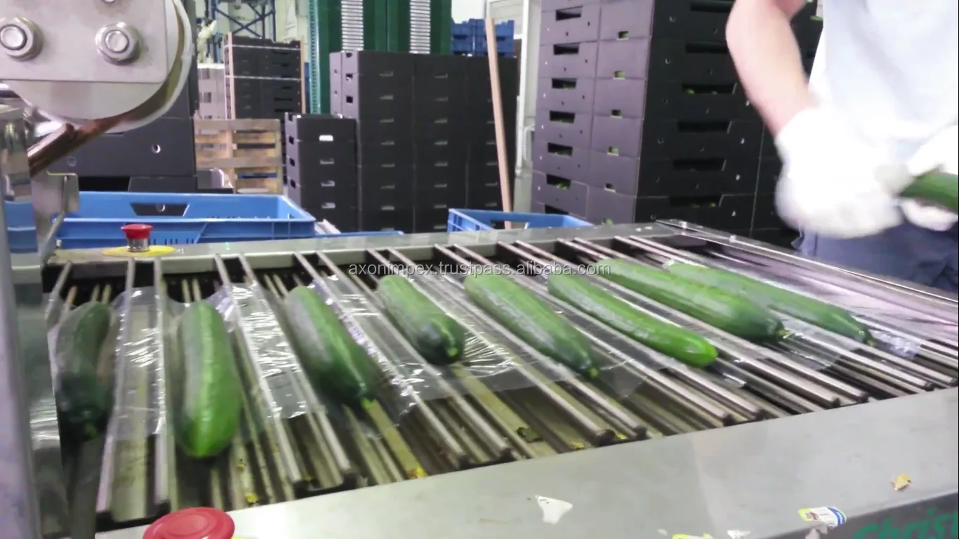 Screenshot (155).png