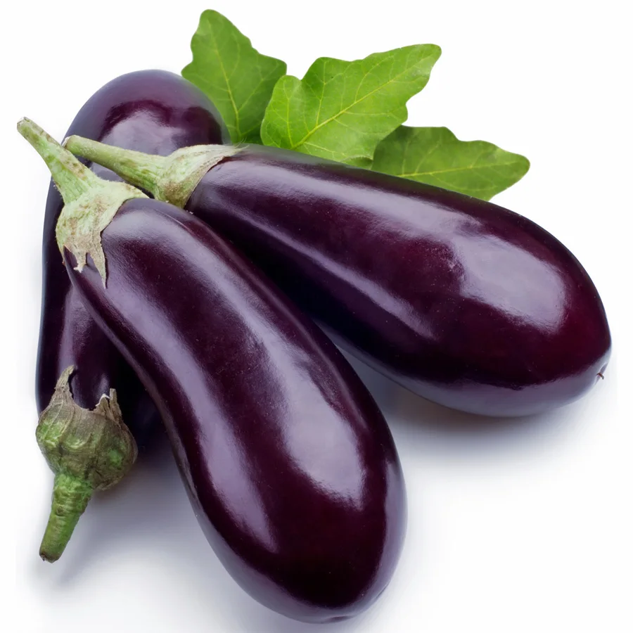 
Fresh Brinjal 