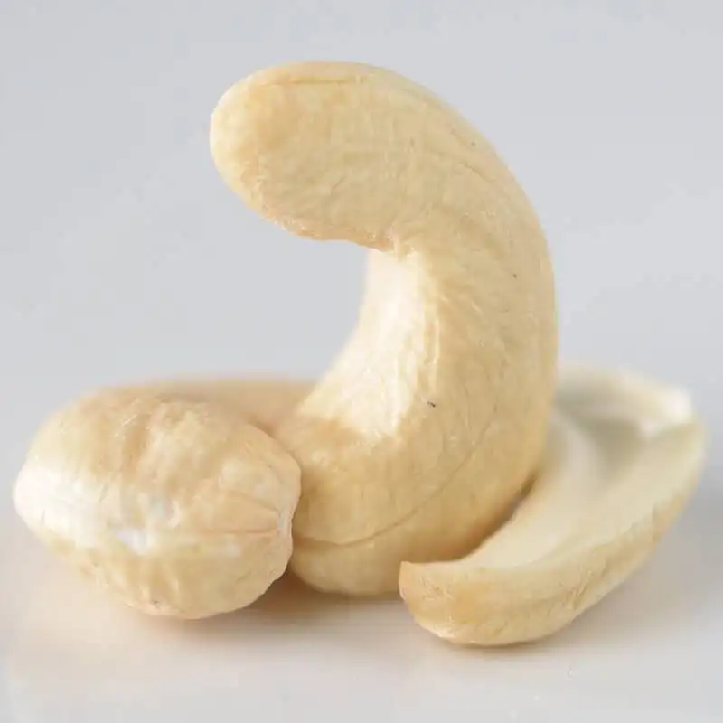 Origin Canada wholesale price premium quality organic cashew nut /raw cashews