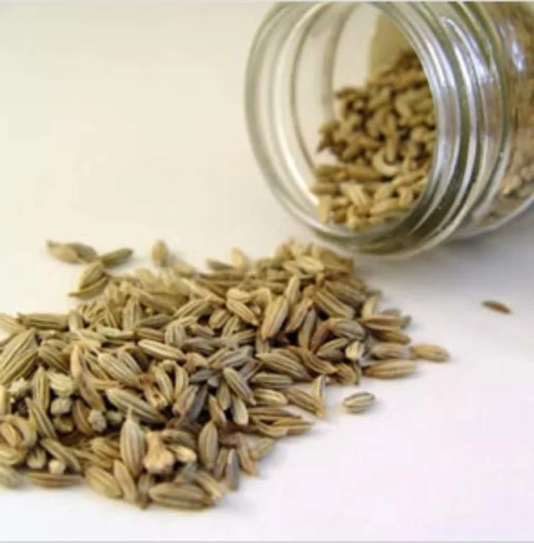 
star anise/anise oil/organic anise seed 