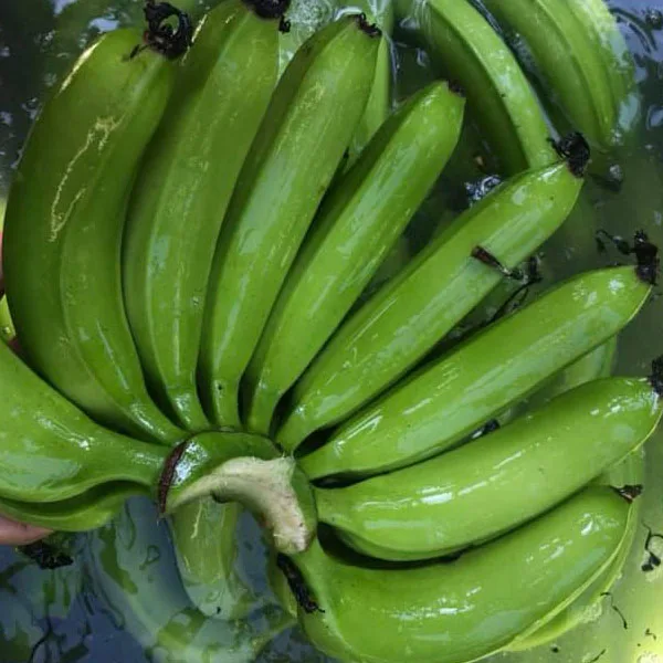 
NEW 2020 Vietnam export fresh cavendish banana price per carton box 