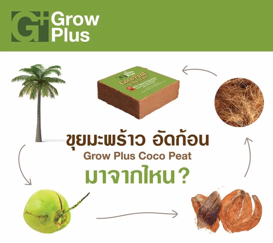 
5Kg per BLOCK 100% Natural COIR COCO PEAT Coconut Compressed Hydroponics Reusable Substrate Growing Soil Plants Grow Plus Brand 