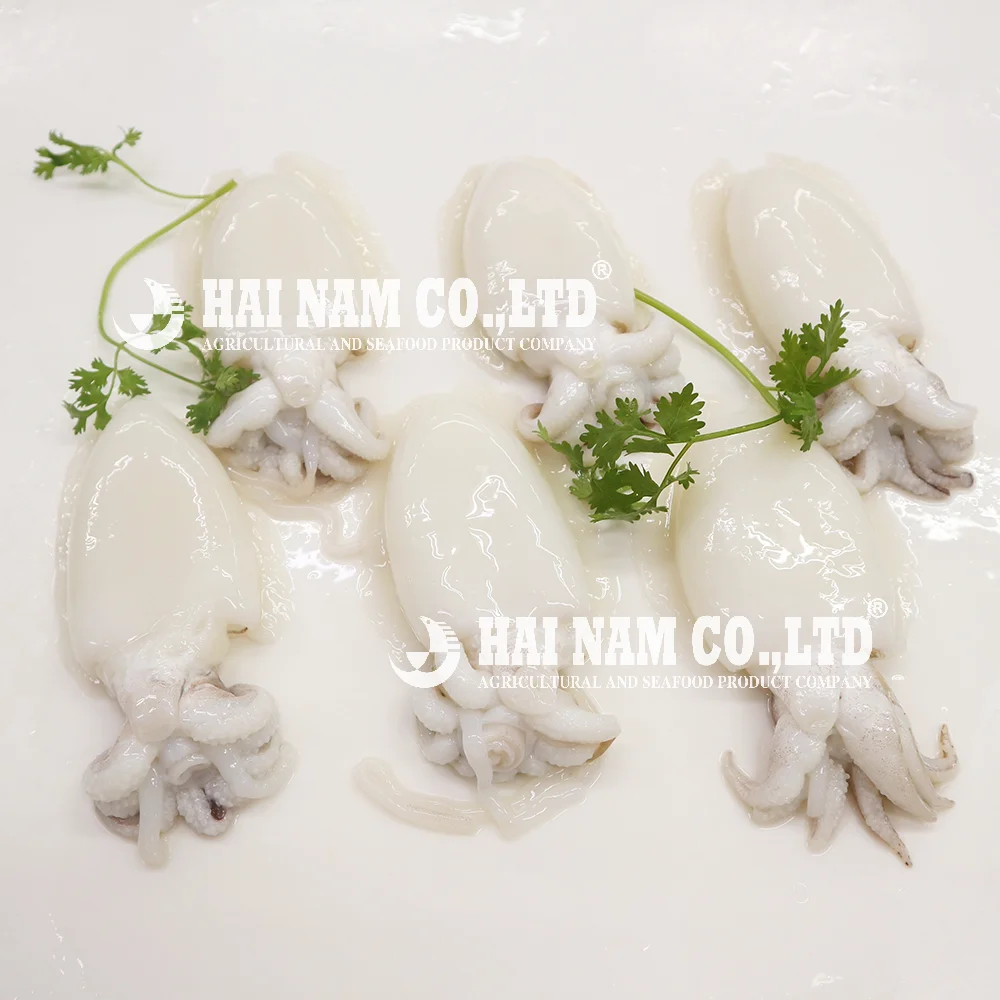 
2 years Shelf Life Best Price High Quality Frozen Cuttlefish Whole cleaned Raw with HACCP Certification from Vietnam 