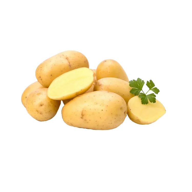 
Fresh Potato high quality Potatoes new season 