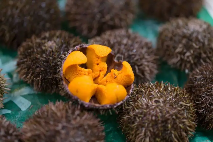 
VIETNAMESE SEA URCHIN ROE COMPETITIVE PRICE FOR WHOLESALES 