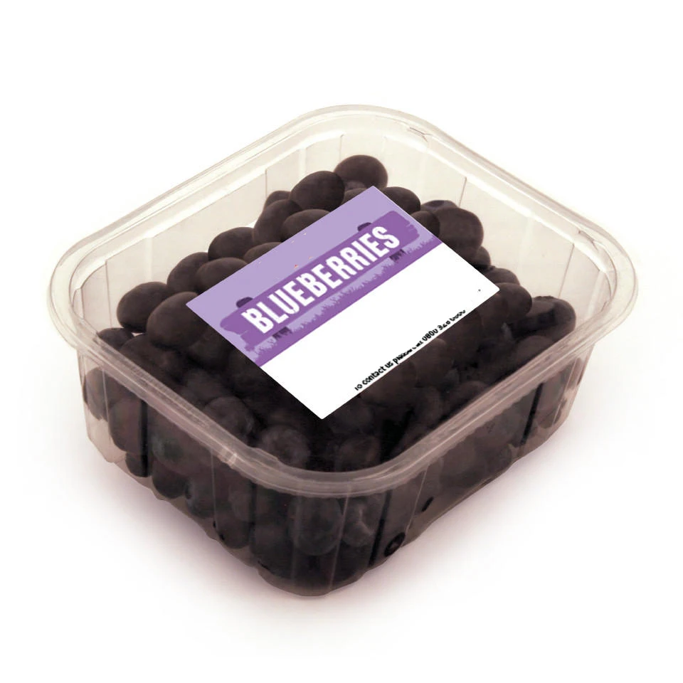 Fresh Blueberry Fruit Prices For Export Buy Fresh Blueberries,Bulk