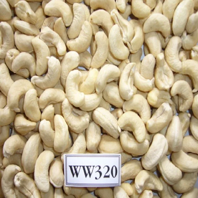 raw cashews in shell