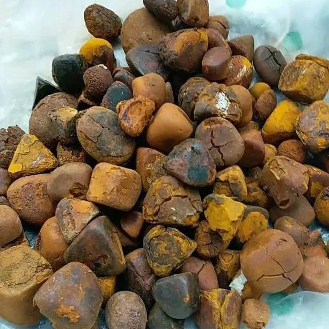 牛胆石 100% 纯天然优质天然牛胆石质量干牛胆结石/牛胆石