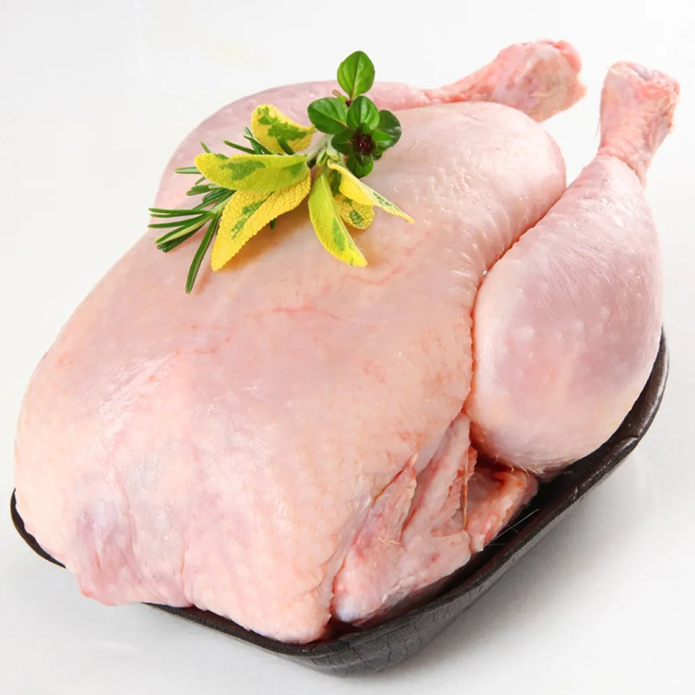 Охлажденного мяса птицы. Куриное мясо. Курица охлажденная. Мясо домашней птицы. Мясо кур.