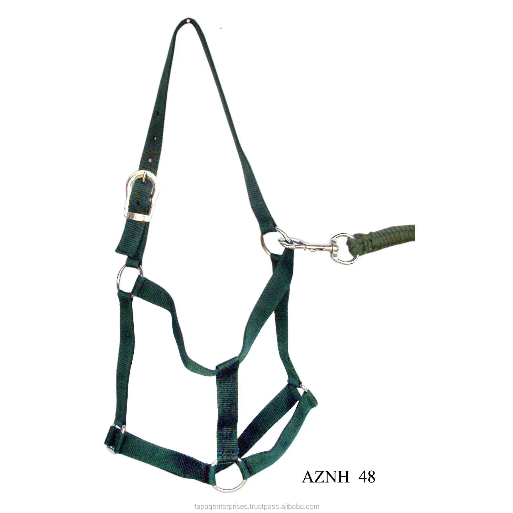 AZNH 48.jpg