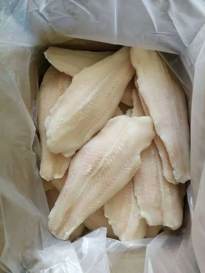 hot sale frozen dory fish
