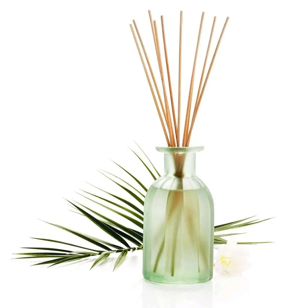 Рейтинг диффузоров с палочками. Reed Diffuser. Тростниковые палочки для диффузора. Аромадиффузор с палочками. Тростниковый диффузор.