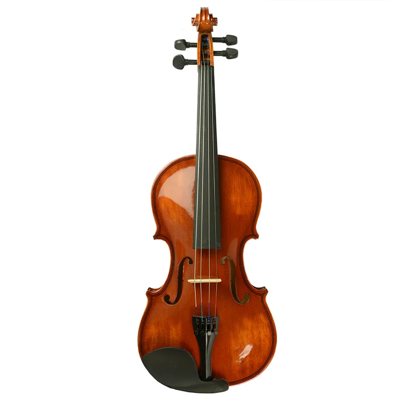 

NAOMI Acoustic Violin Vintage Gloss Finishing 4/4 Violin Pearwood Accessories