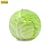 BT Food's Export Oriented 100% Fresh Green Cabbage