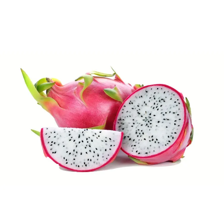 
Vietnam Fresh fruit/ Fresh dragon fruit for export 