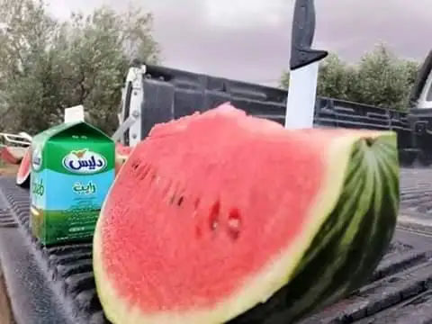 watermelon.jpeg