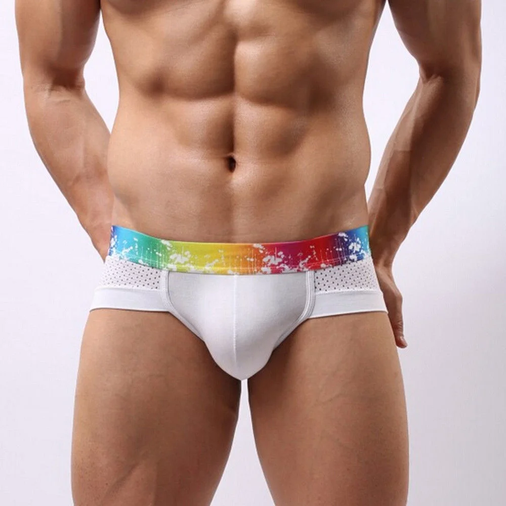

Hot Rainbow Underwear Men's Shorts Modal Mesh Sexy Briefs Breathable Male Gay Underpants Brand Solid Boxer Plus Size Mens Brief, Customized color