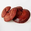 Dried Red Reishi Mushroom/Slice Lingzhi Mushroom/Ganoderma lucidum