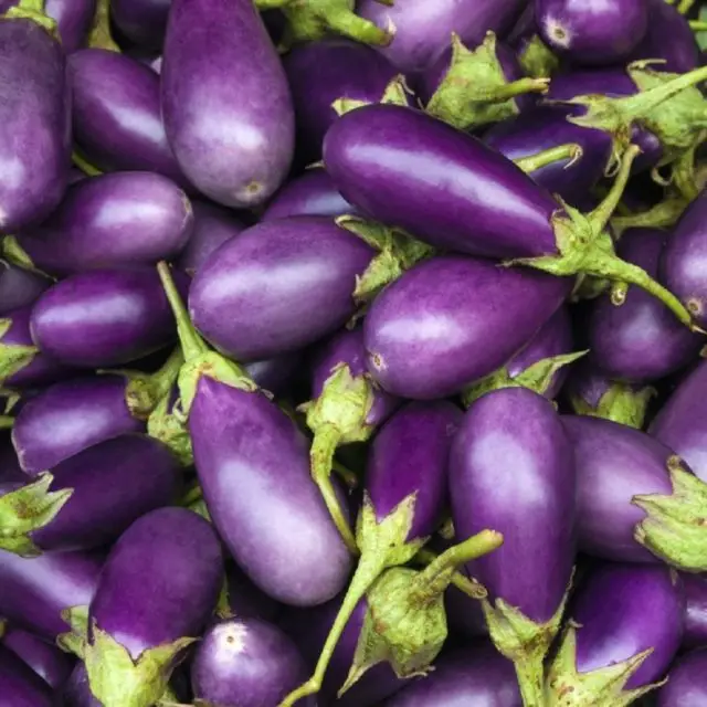 
FRESH EGGPLANT / Fresh WHITE black purple green eggplant !!! 