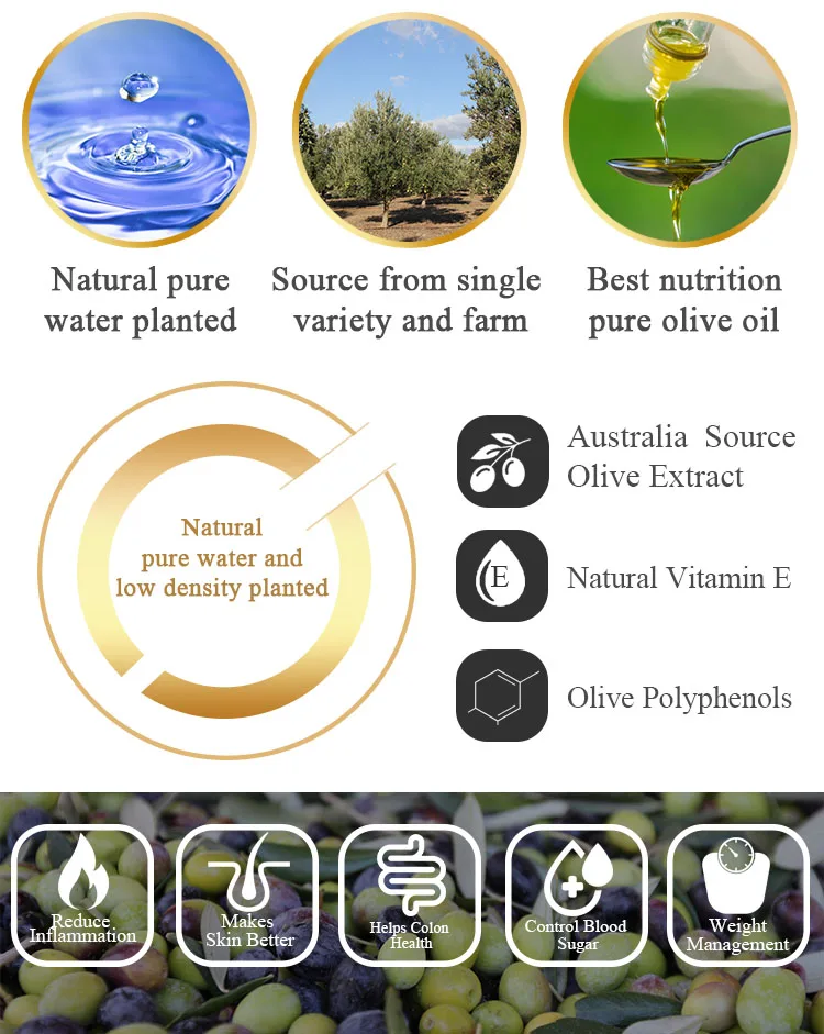 Olive oil Banner new2-1